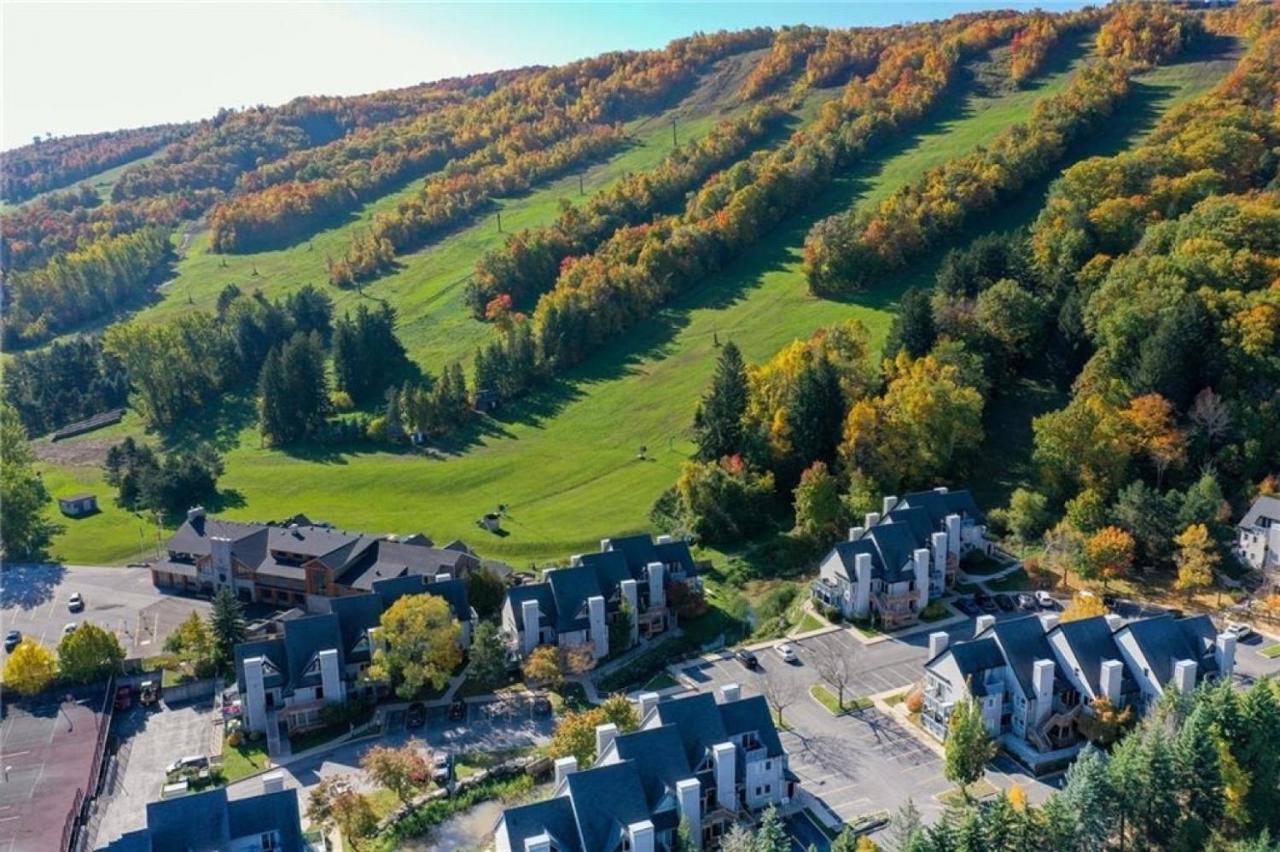 Blue Mountain At Your Door Step Блу Маунтинс Екстериор снимка